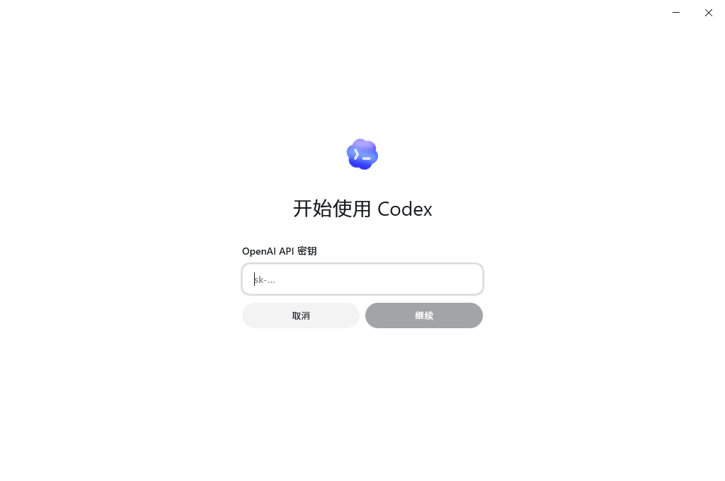 Codex 使用 OpenAI API Key 进行认证的输入页面